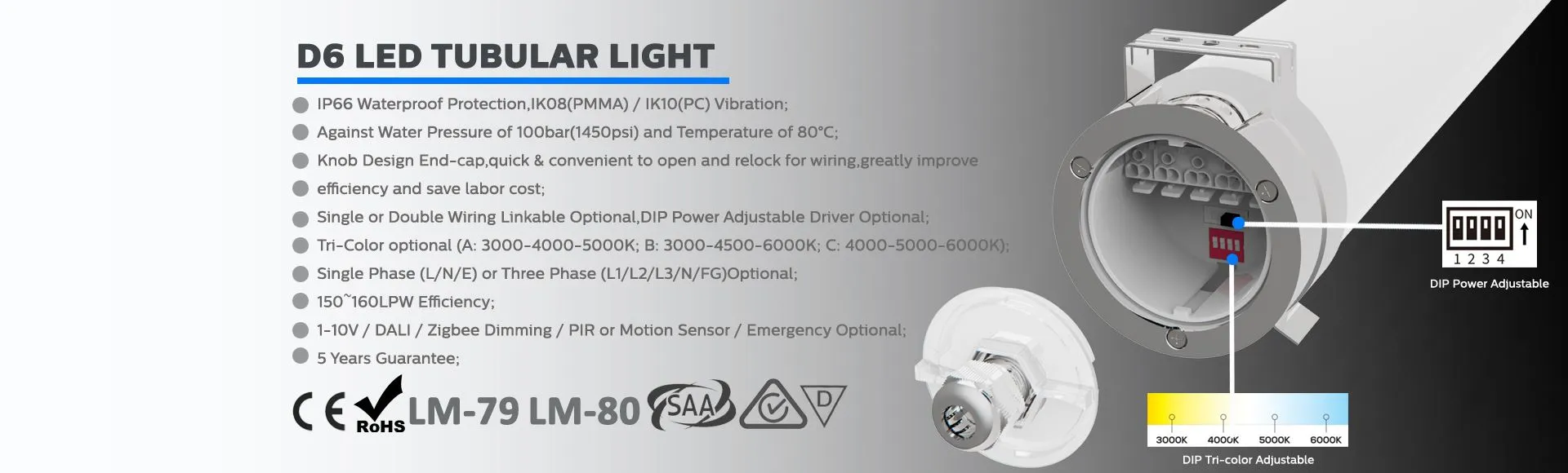 DUALRAYS D6 LED Tubular Light